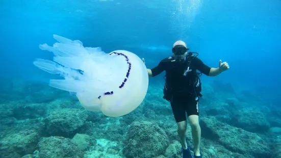 Buceo Les Basetes en Calpe