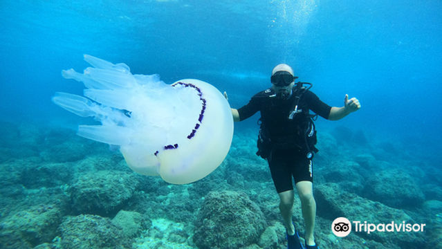 Buceo Les Basetes en Calpe
