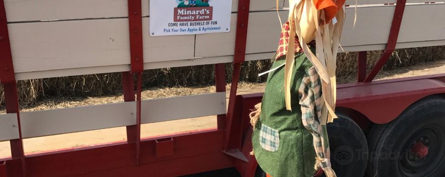Minard's Family Farm