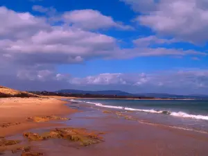 Dornoch Beach