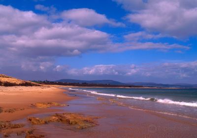 Dornoch Beach