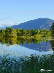 Cattana Wetlands