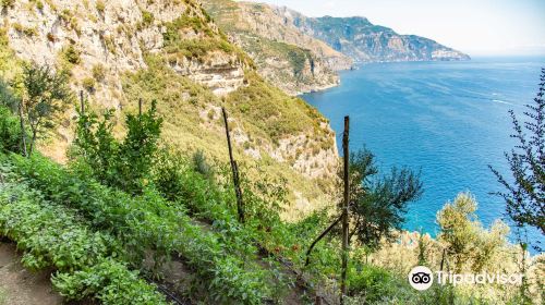 Amalfi Coast Paradise