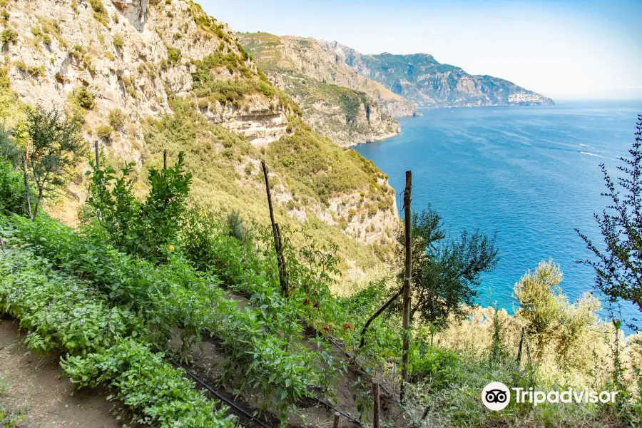 Amalfi Coast Paradise