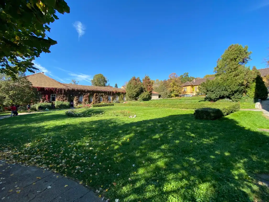 Hotel in zona Botanic Garden Buda