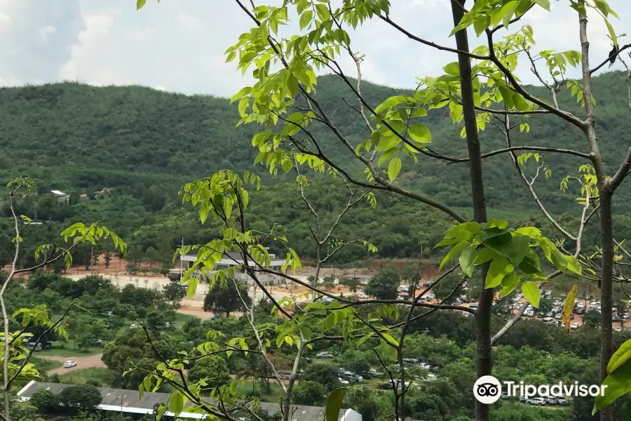 タイの島と海自然史博物館