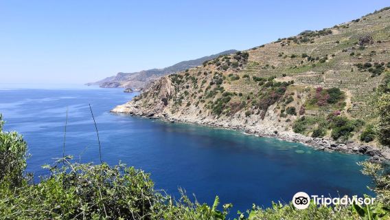 Antiochia ad Cragum