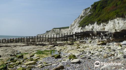 Holywell Retreat Beach