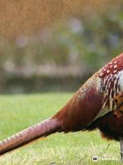 Birds Park / Birds Research Center Hambantota