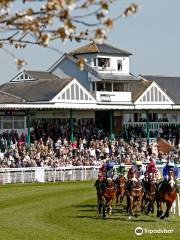 Catterick Racecourse