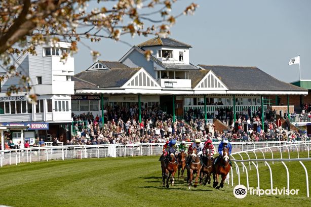 Catterick Racecourse