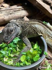 Jardín zoológico de Zagreb