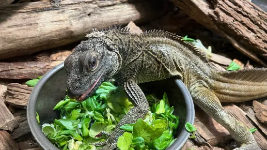 Zoo Zagreb