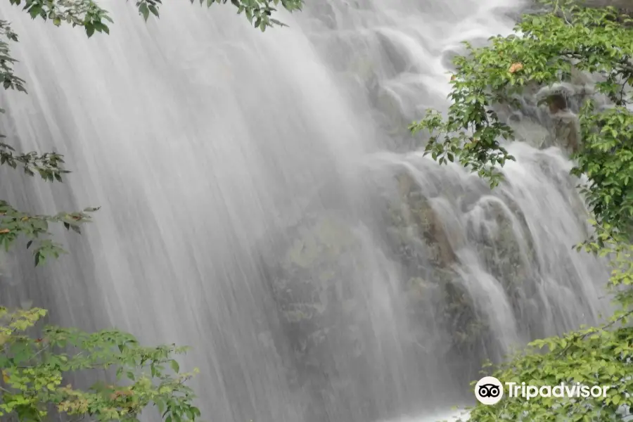 Shakunage Waterfall