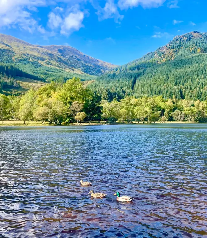 Callander