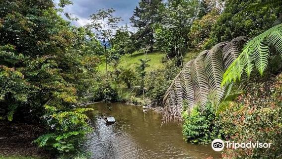 Vida Park