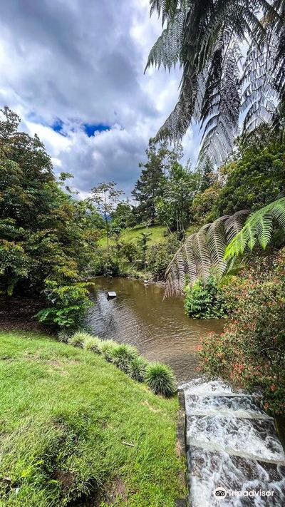 Vida Park