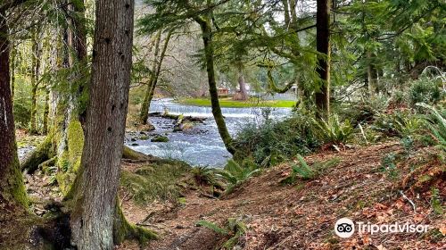 Big Creek Fish Hatchery