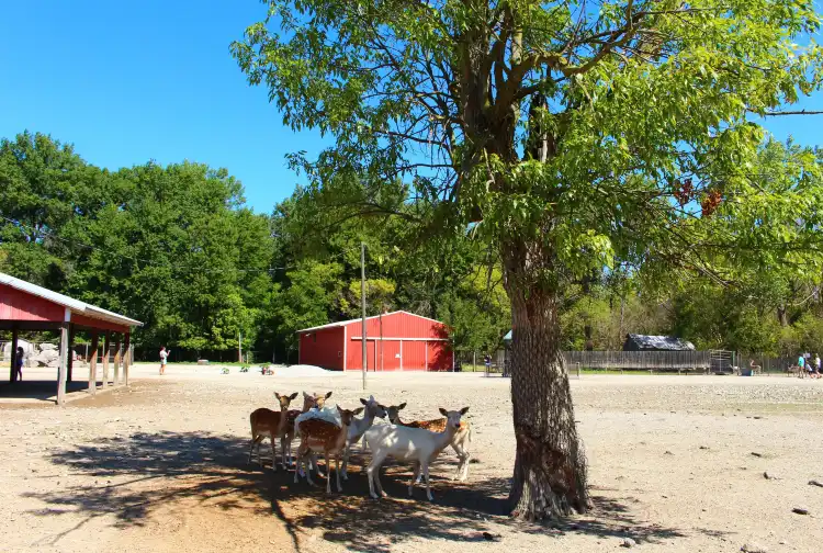 Hotels in Margaretta Township