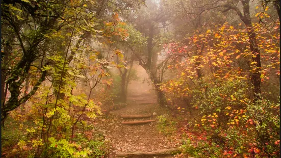 Parque Natural del Carrascal de la Font Roja