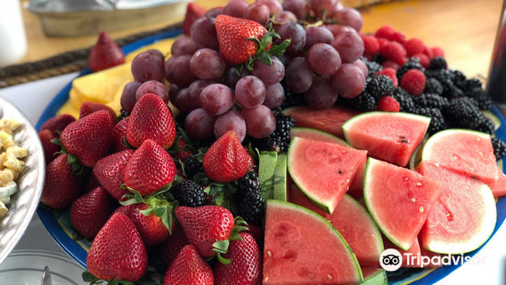 Lake Tahoe Bleu Wave