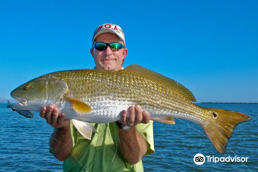 Central Florida Sight Fishing Charters