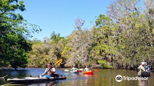 Cracker Creek