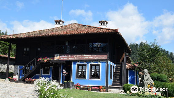 Museum-House Dimcho Debelianov