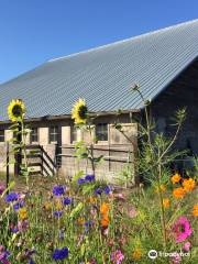 B & B Family Lavender Farm