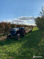 Solebury Orchards