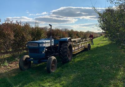 Solebury Orchards