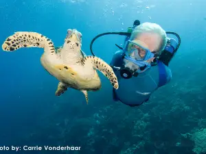 Jean-Michel Cousteau Dive Shop