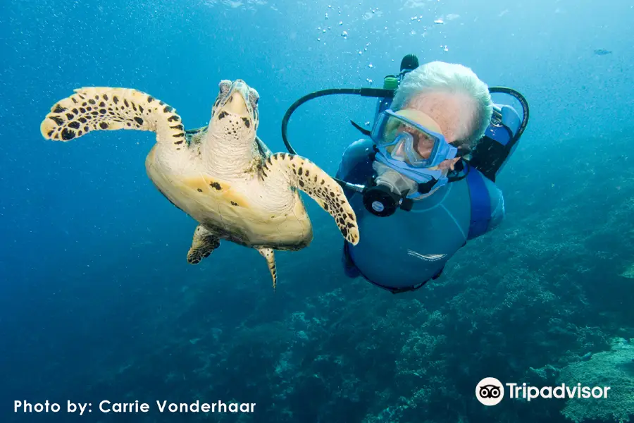 Jean-Michel Cousteau Dive Shop