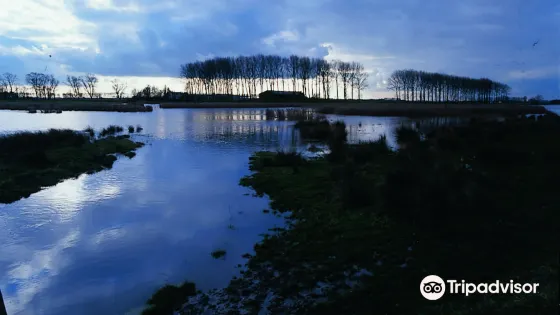 Meetjesland