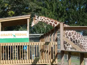 Plumpton Park Zoo