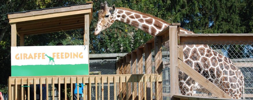 Plumpton Park Zoo