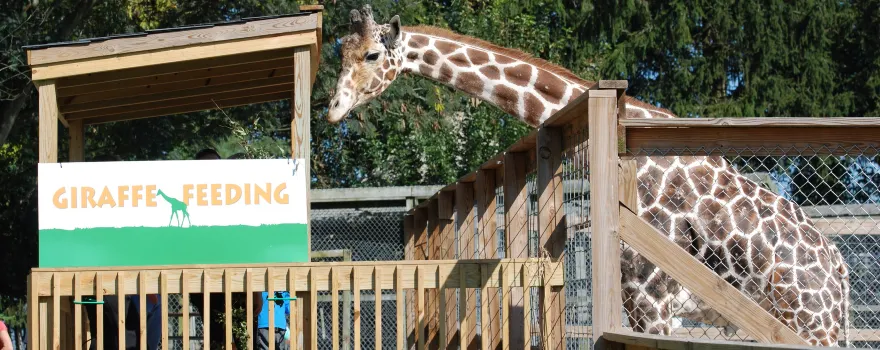 Plumpton Park Zoo