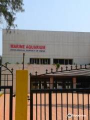 Marine Aquarium & Regional Centre