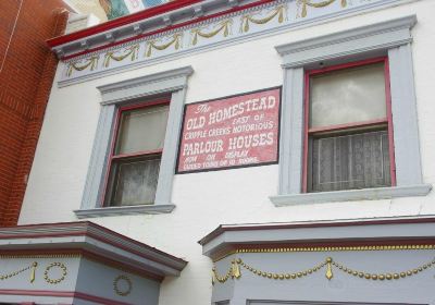 Old Homestead House Museum