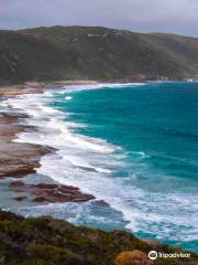 Walpole-Nornalup Inlet