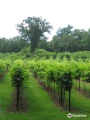 Clearview Vineyard