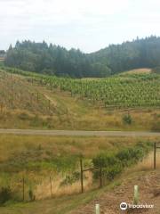 Becker Vineyard