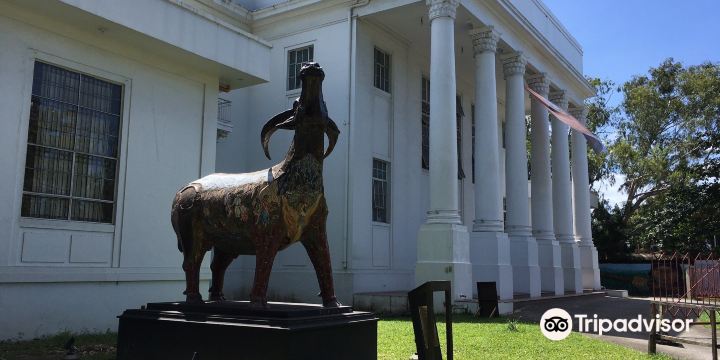 The Negros Museum