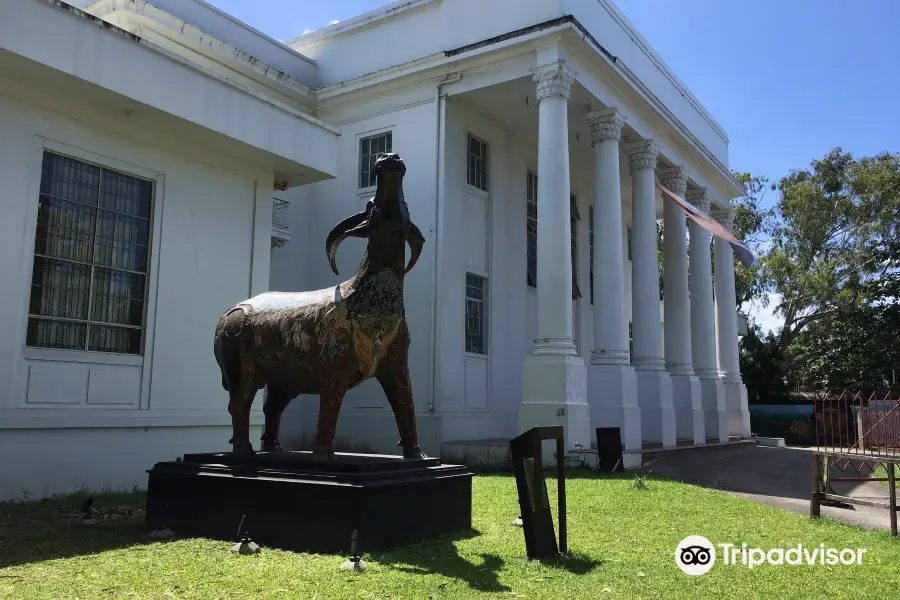 The Negros Museum