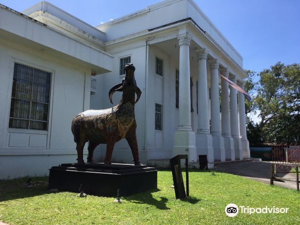 The Negros Museum