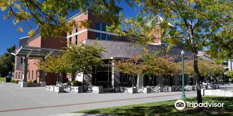 Puyallup Public Library