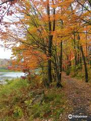 Parc des Rapides-du-Diable