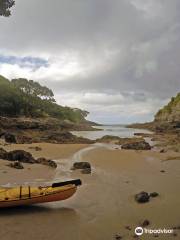 Northland Sea Kayaking