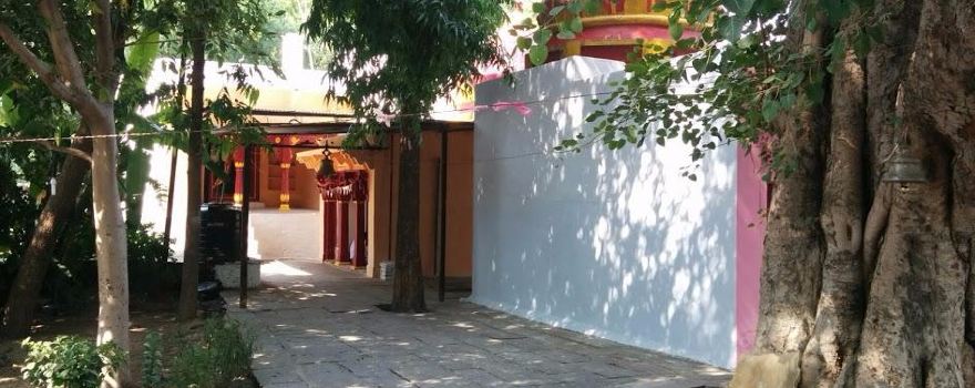 Tindoli