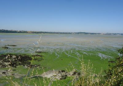 Pointe des Guettes